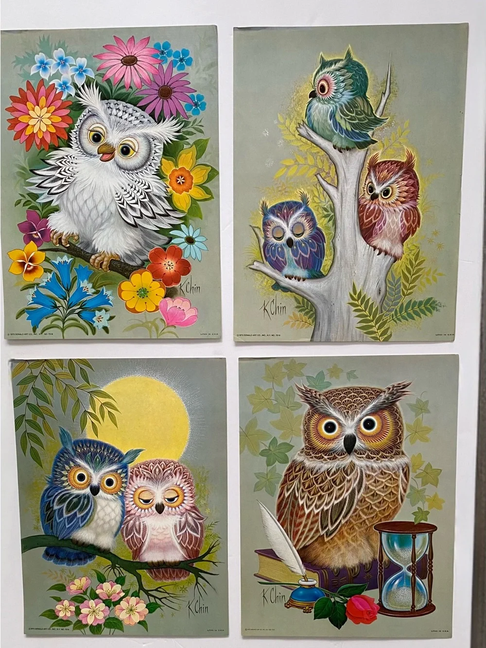VINTAGE 1973 Owl Lithograph Set Of 4 9